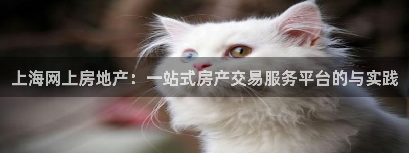 风暴娱乐号：上海网上房地产：一站式房产交易服务平台的与实践