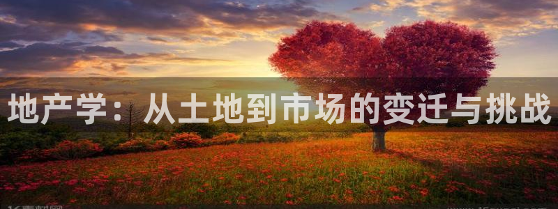 风暴娱乐眼：地产学：从土地到市场的变迁与挑战