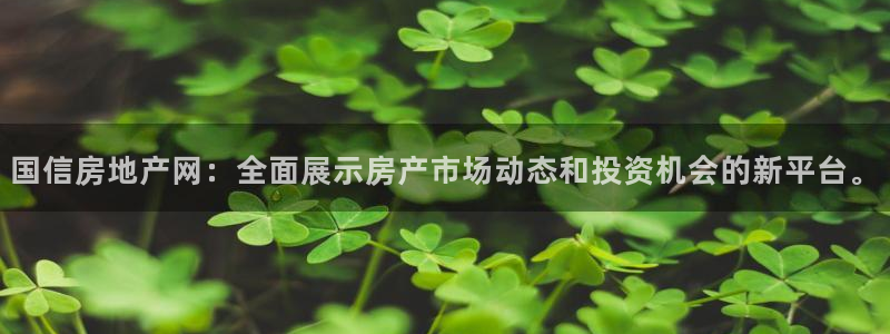 风暴娱乐1：国信房地产网：全面展示房产市场动态和投资机会的新