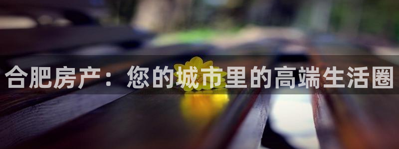 娱乐风暴App：合肥房产：您的城市里的高端生活圈