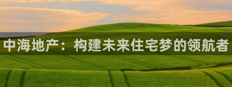娱乐风暴港：中海地产：构建未来住宅梦的领航者