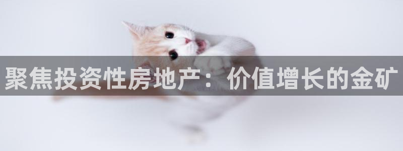 风暴娱乐点：聚焦投资性房地产：价值增长的金矿