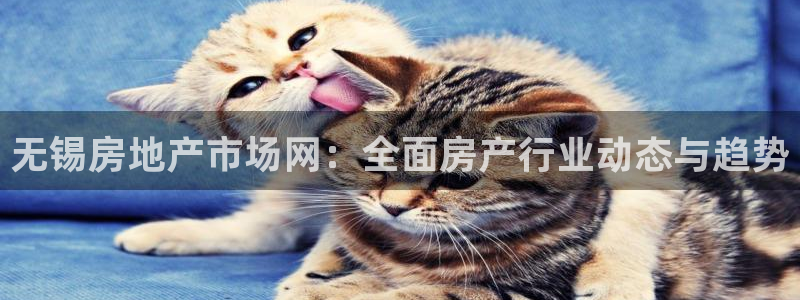 风暴娱乐 风暴注册平台：无锡房地产市场网：全面房产行业动态与