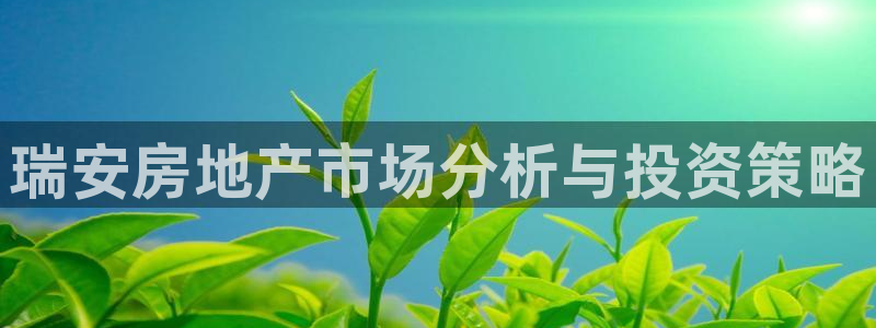 风暴新娱乐：瑞安房地产市场分析与投资策略