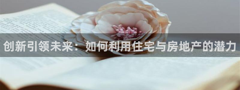风暴娱乐老板