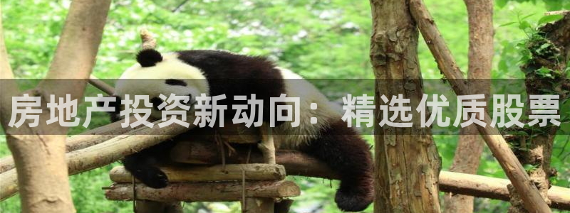 风暴娱乐线路：房地产投资新动向：精选优质股票