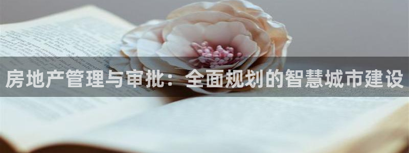娱乐风暴系统：房地产管理与审批：全面规划的智慧城市建设