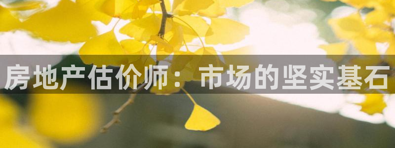 风暴娱乐眼：房地产估价师：市场的坚实基石