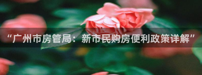 风暴眼娱乐：“广州市房管局：新市民购房便利政策详解”