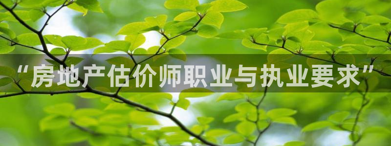 风暴娱乐官方网站：“房地产估价师职业与执业要求”