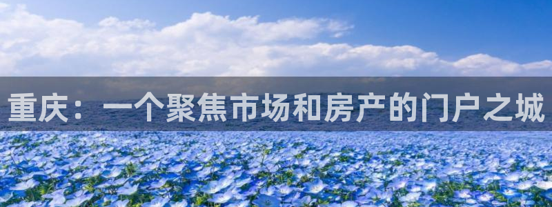 风暴娱乐老板：重庆：一个聚焦市场和房产的门户之城