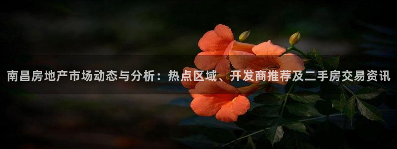 风暴娱乐注册网址：南昌房地产市场动态与分析：热点区域、开发商