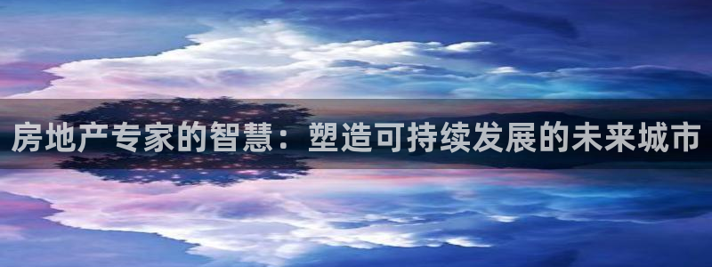 风暴娱乐待遇：房地产专家的智慧：塑造可持续发展的未来城市