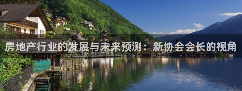 风暴娱乐 北京：房地产行业的发展与未来预测：新协会会长的视角