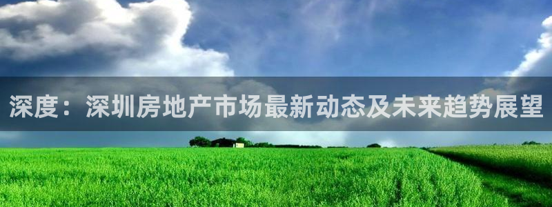 4120051风暴娱乐：深度：深圳房地产市场最新动态及未来趋