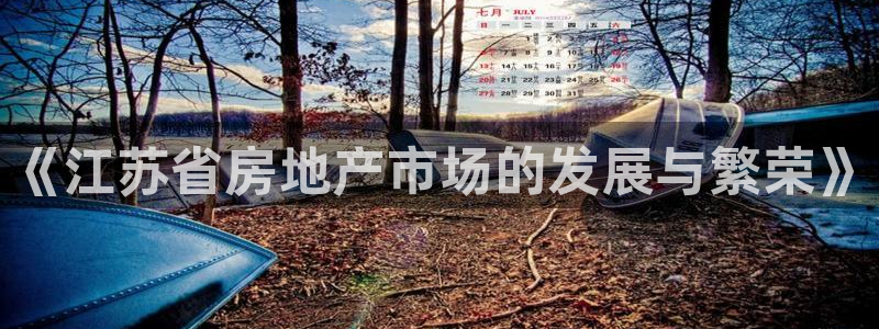 蓝色风暴娱乐：《江苏省房地产市场的发展与繁荣》
