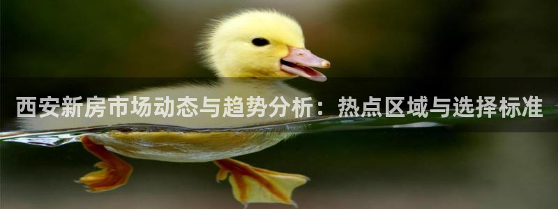 风暴娱乐 风暴注册平台：西安新房市场动态与趋势分析：热点区域