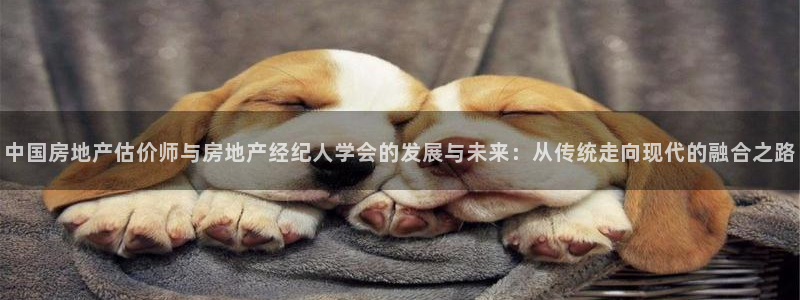 娱乐风暴系统：中国房地产估价师与房地产经纪人学会的发展与未来