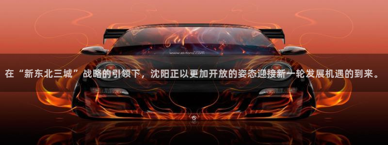 风暴注册娱乐：在“新东北三城”战略的引领下，沈阳正以更加开放