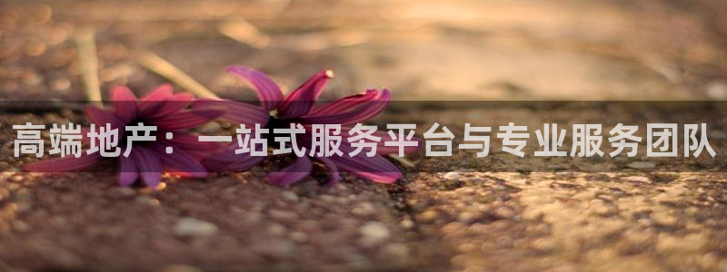 风暴娱乐主页：高端地产：一站式服务平台与专业服务团队