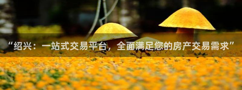 风暴娱乐老板：“绍兴：一站式交易平台，全面满足您的房产交易需