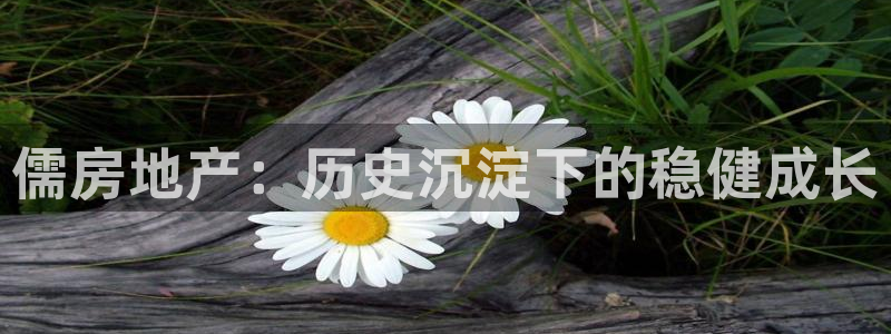 风暴娱乐老板：儒房地产：历史沉淀下的稳健成长