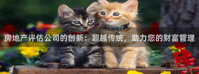 风暴娱乐40996：房地产评估公司的创新：超越传统，助力您的