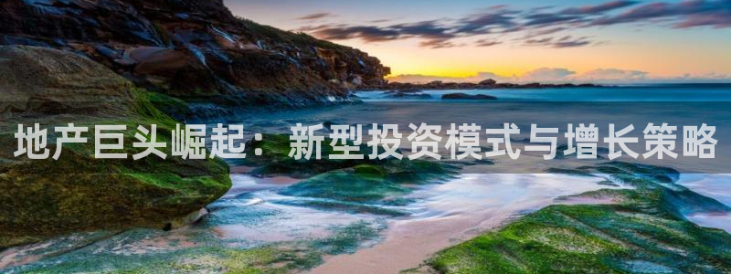 风暴数字娱乐：地产巨头崛起：新型投资模式与增长策略