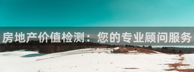 风暴娱乐点：房地产价值检测：您的专业顾问服务