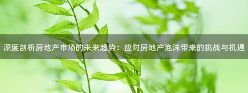 风暴娱乐5O6917：深度剖析房地产市场的未来趋势：应对房地