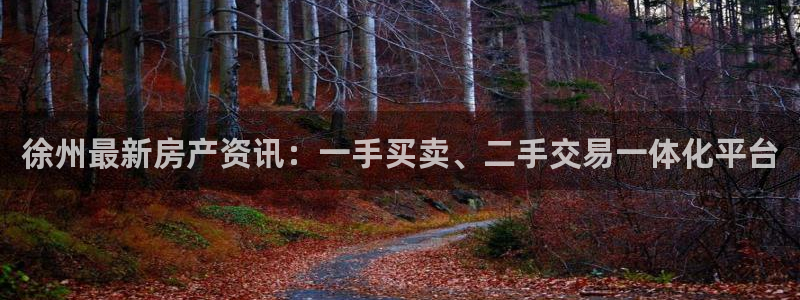 风暴娱乐实况：徐州最新房产资讯：一手买卖、二手交易一体化平台