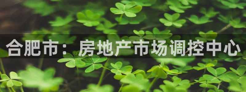 万万娱乐风暴：合肥市：房地产市场调控中心