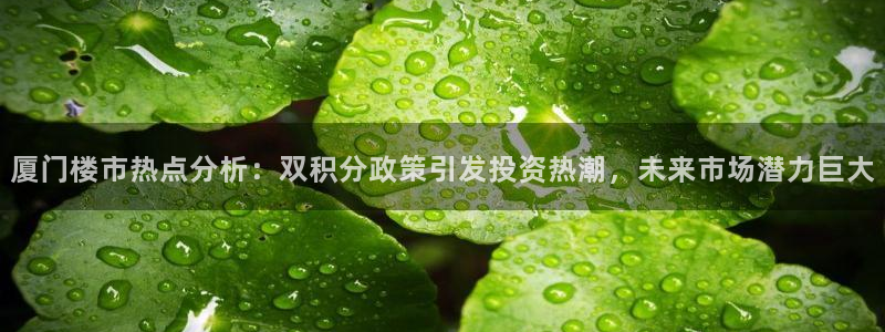 风暴娱乐测速：厦门楼市热点分析：双积分政策引发投资热潮，未来