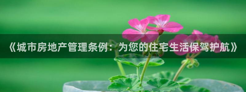 娱乐风暴2：《城市房地产管理条例：为您的住宅生活保驾护航》