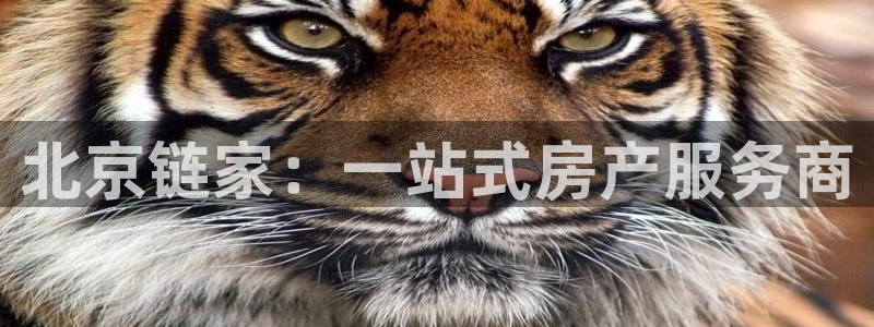 风暴娱乐登录网址：北京链家：一站式房产服务商