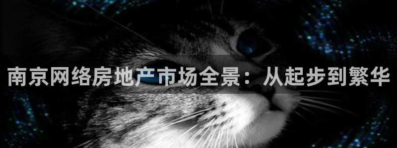 风暴娱乐提现：南京网络房地产市场全景：从起步到繁华