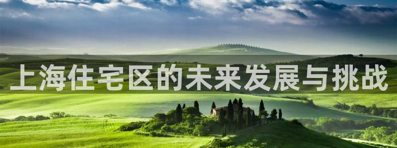 娱乐风暴系统：上海住宅区的未来发展与挑战