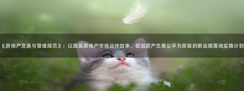 娱乐星空风暴：《房地产交易与管理规范》：以提高房地产市场运作