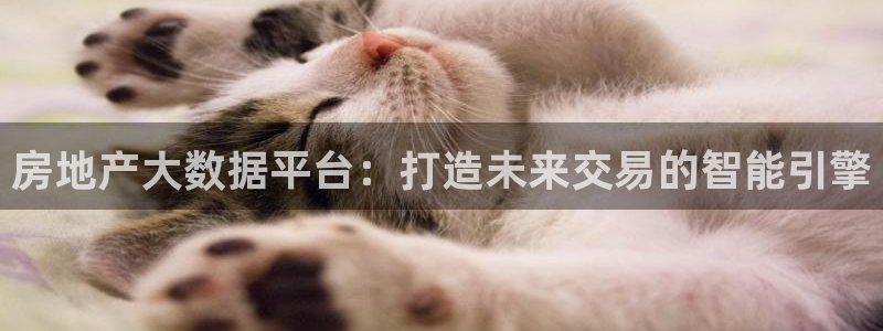 风暴娱乐代理登录：房地产大数据平台：打造未来交易的智能引擎