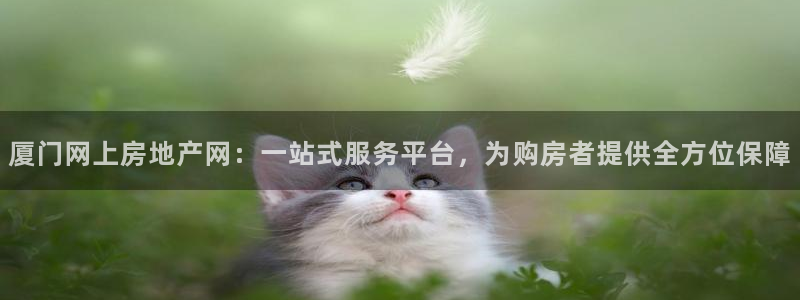 风暴娱乐官网开户：厦门网上房地产网：一站式服务平台，为购房者