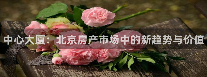 风暴娱乐右5指尖：中心大厦：北京房产市场中的新趋势与价值