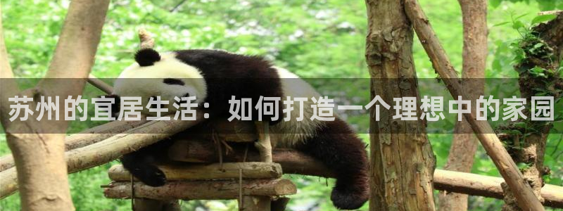 风暴娱乐图片：苏州的宜居生活：如何打造一个理想中的家园