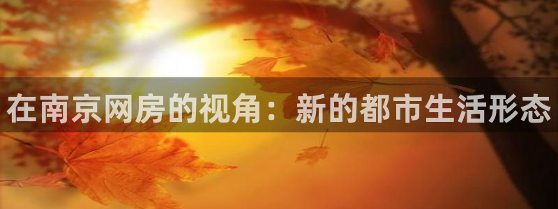 风暴娱乐派对：在南京网房的视角：新的都市生活形态