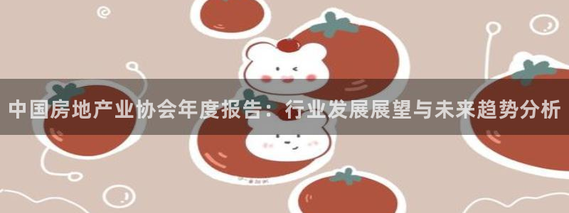 娱乐风暴港：中国房地产业协会年度报告：行业发展展望与未来趋势