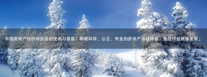 风暴娱乐1980：中国房地产估价师协会的使命与愿景：构建科学