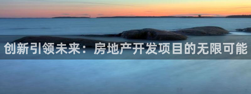 风暴娱乐老板：创新引领未来：房地产开发项目的无限可能