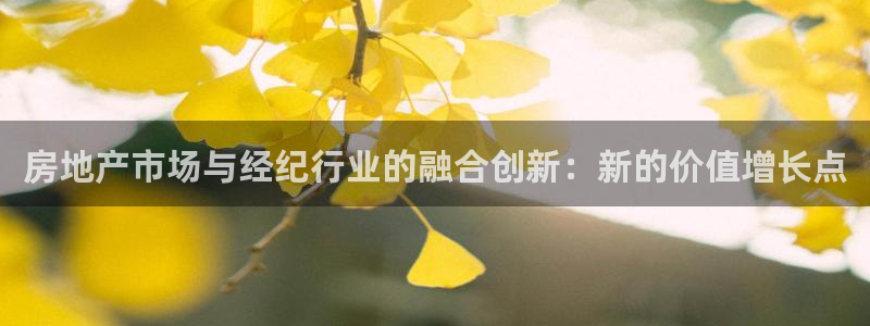 风暴娱乐主页：房地产市场与经纪行业的融合创新：新的价值增长点