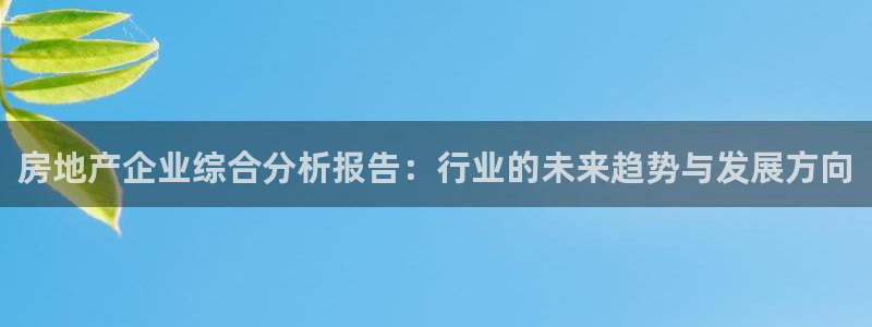 风暴娱乐主管是谁：房地产企业综合分析报告：行业的未来趋势与发