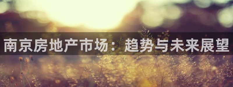 风暴娱乐平台官网登陆