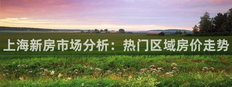 风暴娱乐乃六七五一38：上海新房市场分析：热门区域房价走势